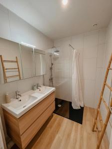 a bathroom with a sink and a mirror and a shower at Le 16 - Charmant appartement proche du centre ville in Strasbourg