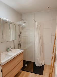 a bathroom with a sink and a shower at Le 16 - Charmant appartement proche du centre ville in Strasbourg