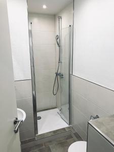ein Bad mit einer Dusche, einem Waschbecken und einem WC in der Unterkunft Ferienwohnung Holstenstern in Kellenhusen