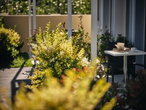 Puutarhaa majoituspaikan Cactus Hotel ulkopuolella