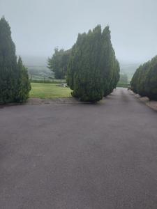 a large parking lot with trees in the middle at Amberley in Gorey
