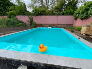 Au jardin des Vennes tesisinde veya buraya yakın yüzme havuzu