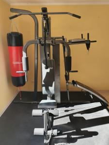 a gym machine with a punching bag on it at Wind Caroline in Jastrzębia Góra