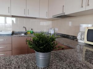 Kuchyňa alebo kuchynka v ubytovaní Apartamentos Vista