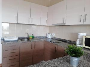 Kuchyňa alebo kuchynka v ubytovaní Apartamentos Vista