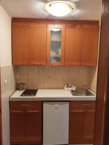 a small kitchen with wooden cabinets and a sink at Tazex Apartments in Herceg-Novi