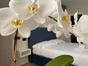 a group of white flowers in a room with a bed at B&B L'Orchidea in Tropea