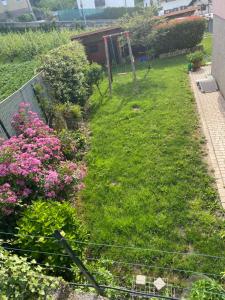 A garden outside Il Castellaccio