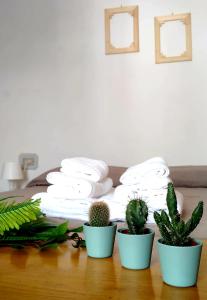 quattro piante in vaso sedute su un tavolo con asciugamani di A Casa Di Nonna B&B a Tortoreto