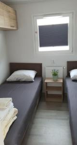 a bedroom with two twin beds and a window at Holidays in Dirkshorn (Park de Horn 613) in Dirkshorn