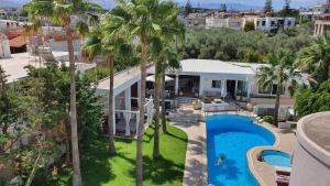 an aerial view of a house with a swimming pool and palm trees at Elizabeth Suites in Kato Daratso