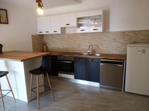 een keuken met een aanrecht, een wastafel en een koelkast bij Apartman Laus in Zavalatica