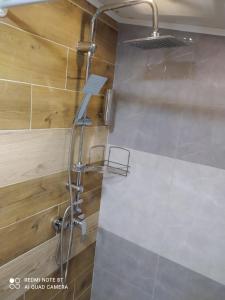 a shower with a shower head in a bathroom at Lenilenii Bungalows in Jajce
