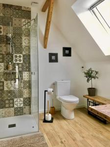 a bathroom with a toilet and a shower at Aux 2 girouettes in Merville +18 photos