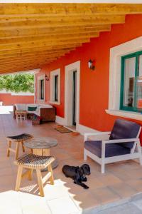 a dog laying on a patio in front of a house at La Casiña in A Coruña