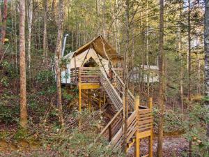 Příroda nedaleko luxury tent