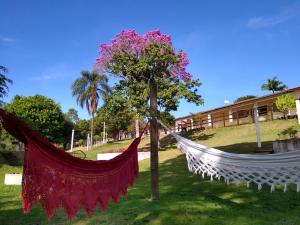 - un hamac dans un parc avec un arbre dans l'établissement RECANTO ELAMAR, à Socorro