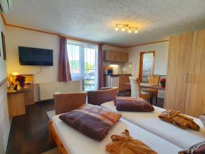 TV a/nebo společenská místnost v ubytování Hévíz Villa Familia