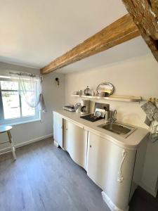 a kitchen with a sink and a counter at Rusnės Pakalnės apartamentai in Rusnė +57 photos