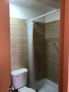 a bathroom with a white toilet and a shower at Hospedaje 2174 in Iquique