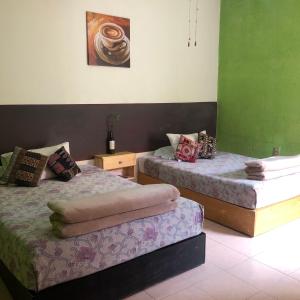 two beds in a room with green walls at Hotel Boutique El Sueño del Coronel in Río Verde +3 photos
