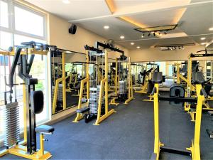Fitness centrum a/nebo fitness zařízení v ubytování Dee Mansion