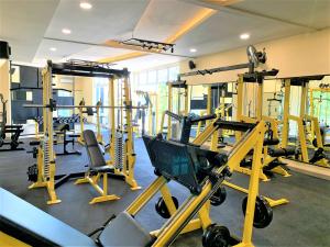 Fitness centrum a/nebo fitness zařízení v ubytování Dee Mansion