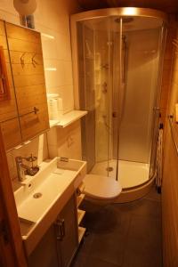 uma casa de banho com um chuveiro, um WC e um lavatório. em Vakantiehuis Porlezza em Porlezza