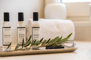 普罗普里亚诺Boutique hôtel Château Rouher的相册照片