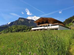 a house on a hill with mountains in the background at Appartment Sonnenwiese in Finkenberg