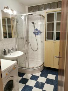 a bathroom with a shower with a sink and a washing machine at Citycenter Apartment Stadthalle in Graz