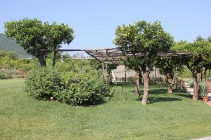 Foto dalla galleria di Terra e Cielo a Pagani