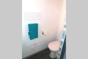 a bathroom with a toilet and a blue towel at Joli studio entre mer et montagne proche de Nice in Bouyon +11 photos