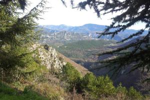 a view of a valley with trees on a mountain at Joli studio entre mer et montagne proche de Nice in Bouyon