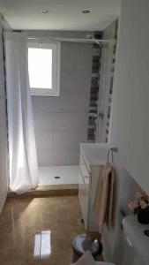 a bathroom with a shower and a toilet and a window at Apartamento Talay 1 in Corralejo