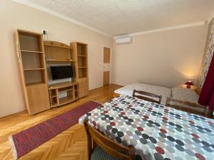 ein Schlafzimmer mit einem Bett und einem TV in einem Zimmer in der Unterkunft Magyar Apartman in Hajdúszoboszló