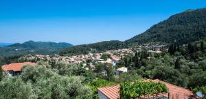 a town on a hill with trees and houses at Casa De Blue in Kariá