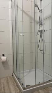 eine Dusche mit einer Glastür in einem Badezimmer in der Unterkunft Apartment with Private Pool in St Paul's Bay