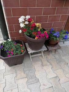 Imagen de la galería de Apartments Novak, en Ljubno