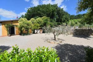 a garden with a stone wall and a tree at Villa Paradiso in Montevarchi