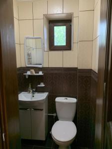 a small bathroom with a toilet and a sink at Гостинний дім in Szack +4 photos