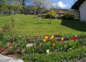 Zahrada ubytování Ferienhaus Bayerwald