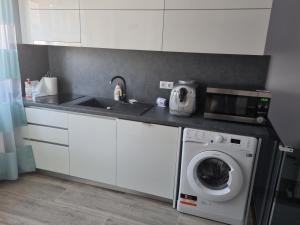 a kitchen with a washing machine and a sink at Vila El Passo in Târgu-Mureş