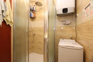 een kleine badkamer met een douche en een toilet bij Apartment Boltar in Šilo