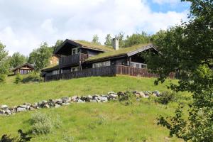 a house on top of a grassy hill at Storemyr by Norgesbooking - cabin with amazing view in Myro