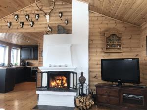 sala de estar con chimenea y TV en Storemyr by Norgesbooking - cabin with amazing view, en Myro