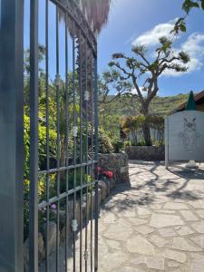 un cancello per un giardino con un albero sullo sfondo di Villa Anna Sorgeto a Ischia
