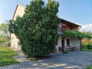 Zahrada ubytování Éva Apartmanház