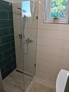 baño con ducha y puerta de cristal en Éva Apartmanház en Csopak