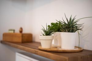 Kép tuGuest S. Jerónimo Apartment szállásáról Granadában a galériában